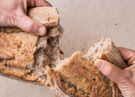 Bread Sommelier